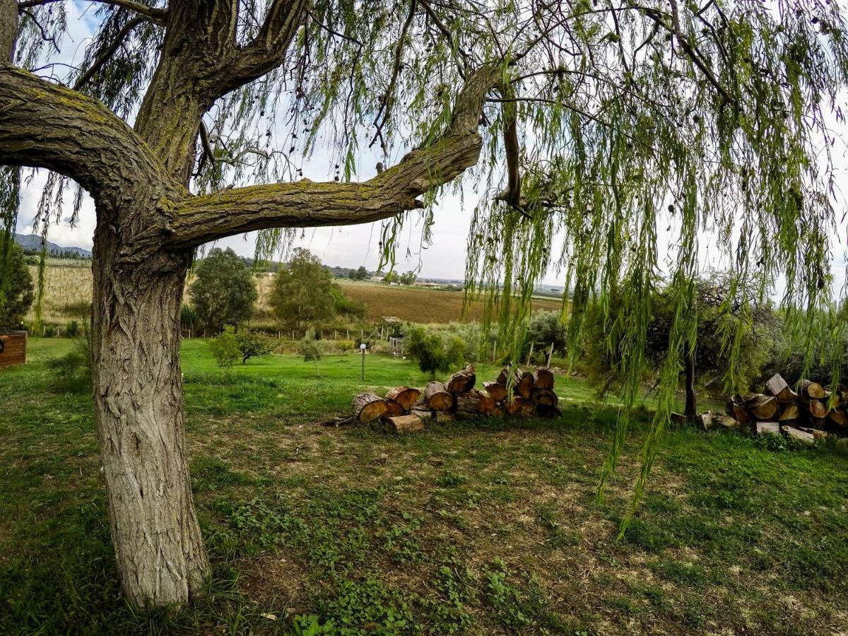 Villa Le Cascatelle à Cerveteri Extérieur photo